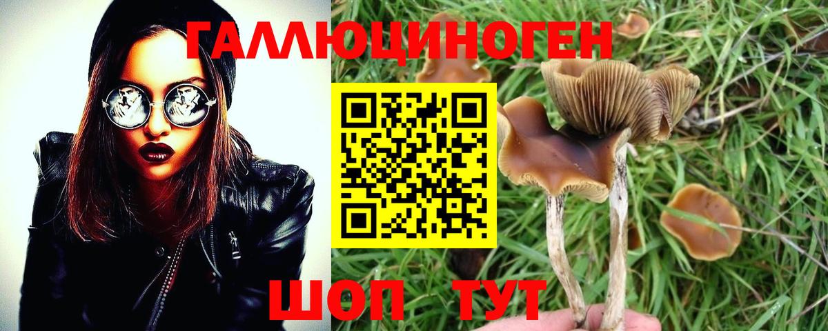 Псилоцибиновые грибы GOLDEN TEACHER Воскресенск